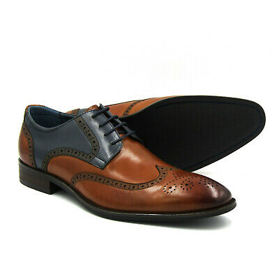 navy blue and brown shoes